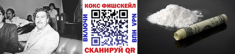 ссылка на мегу маркетплейс  Анива  Кокаин Fish Scale  сколько стоит 
