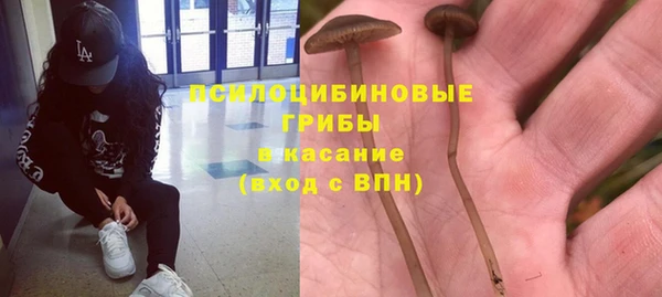 дурь Алексин