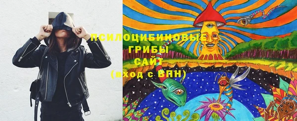 дурь Алексин