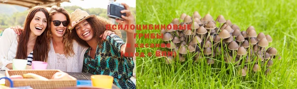 дурь Алексин