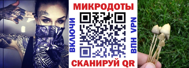 Псилоцибиновые грибы GOLDEN TEACHER Анива
